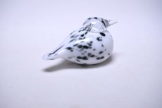 画像5: 北欧アートガラス/Oiva Toikka/オイバトイッカ/Pikku Hippi/ピックヒッピ/Small Goldencrest/スモールゴールデンクレスト (5)