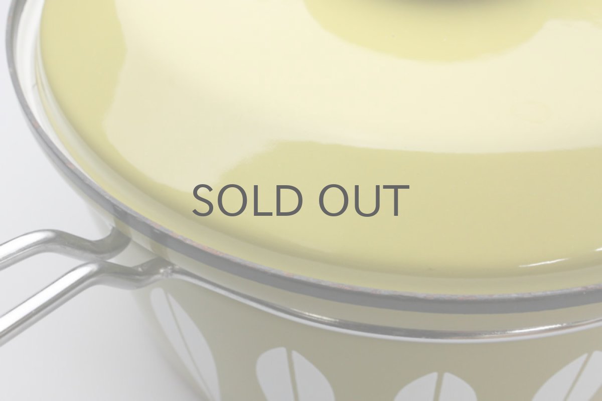 画像2: CATHERINE HOLM Lotus キャサリンホルム ロータス 22cm　片手鍋特バタースコッチ (2)