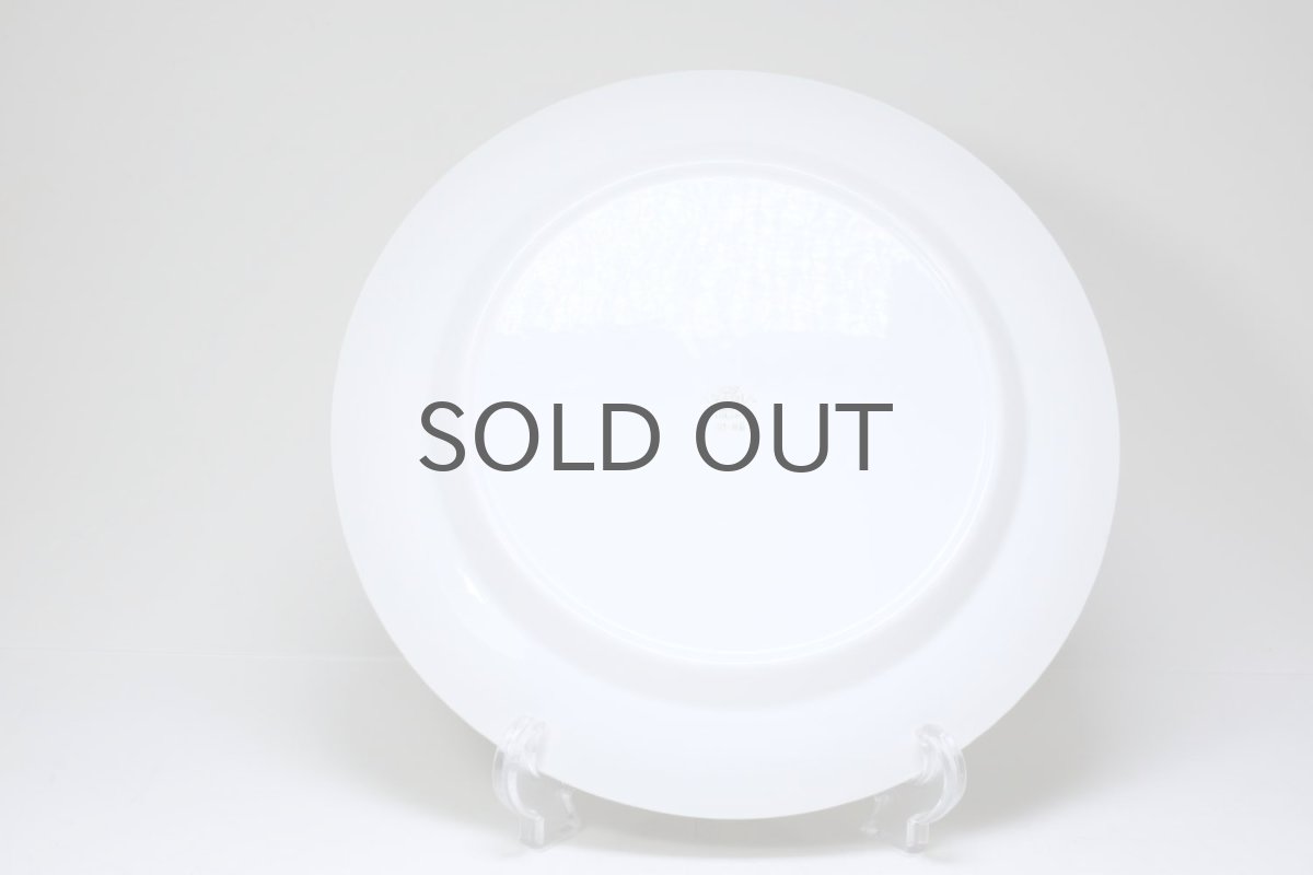 画像8: ARABIA/アラビア/Veera/ベーラ/20cm/スーププレート/23cm/プレート (8)