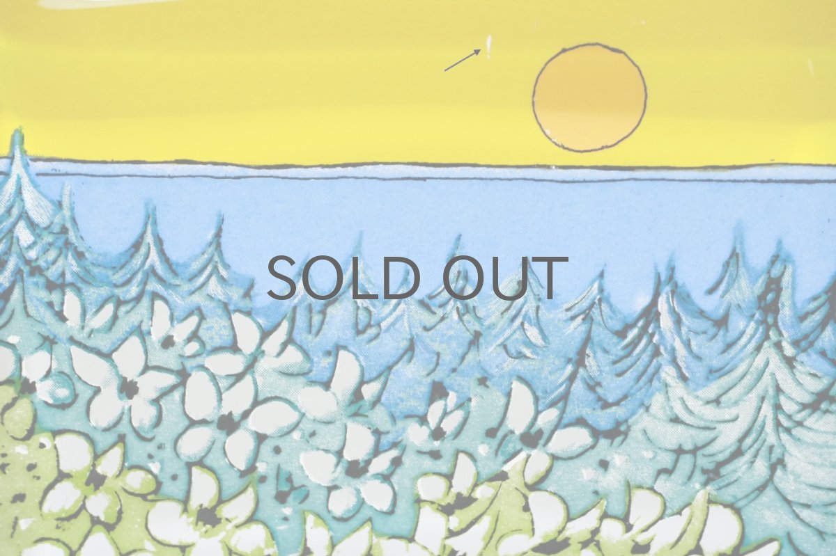 画像2: iittala/イッタラ /Helja Liukko Sundstrom/ヘルヤ・リウッコ・スンドストロム/glass cards/グラスカード/Warmth of the Sun/太陽の暖かさ/Sサイズ (2)
