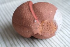 画像5: スウェーデン/Nittsjo/ニトジョ窯/Thomas Hellström/トーマス・ヘルストローム/リス (5)