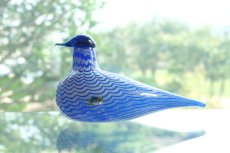 画像12: 北欧アートガラス/ビンテージガラス/Oiva Toikka/オイバ・トイッカ/iittala/イッタラ/Birds/バード/Aro-Yhtymä Oy/1992年/カンパニーバード/Lintu Sininen/Blue Bird/ブルーバード (12)