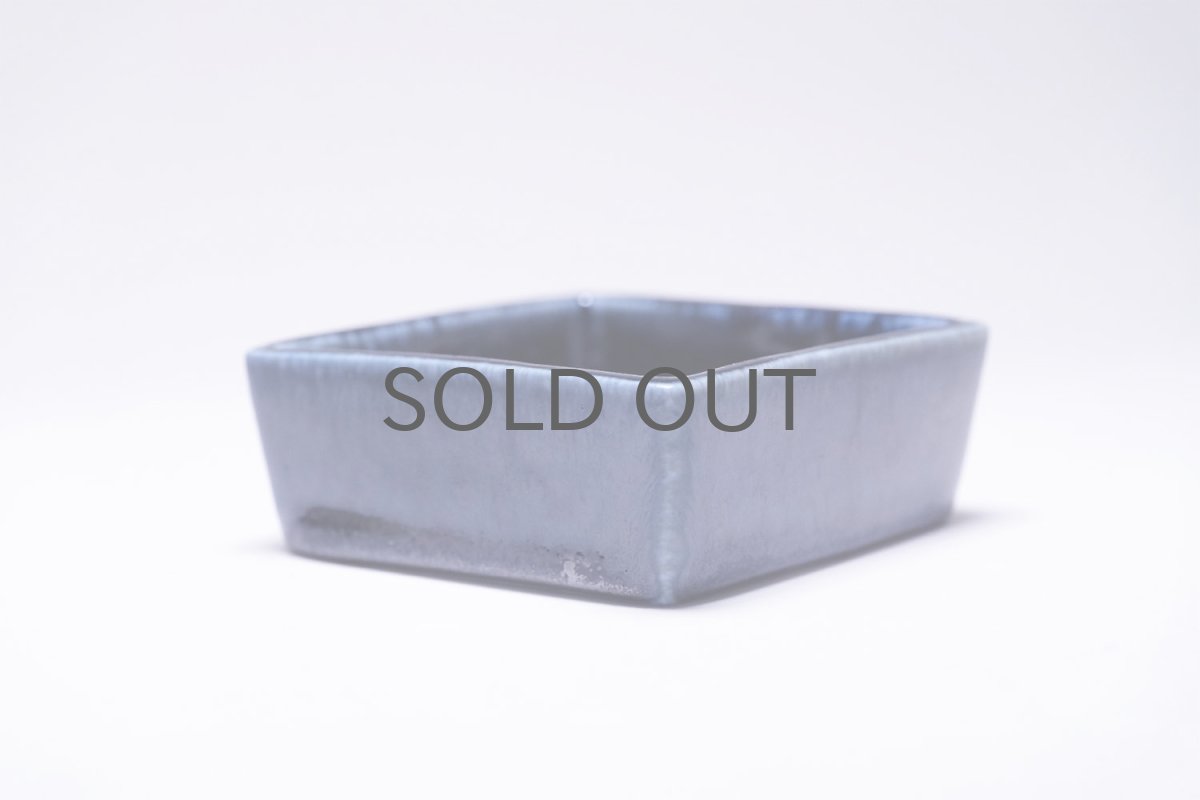 画像3: Rorstrand/ロールストランド/Sylvia Leuchovius/シルヴィア・レウショヴィウス/絵皿/蝶/Sサイズ (3)