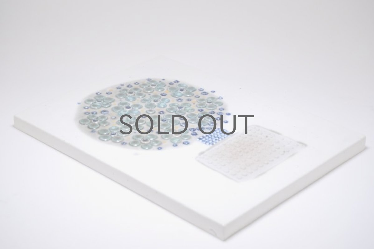 画像4: Rorstrand/ロールストランド/Sylvia Leuchovius/シルヴィア・レウショヴィウス/陶板/花の木 (4)