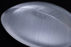 画像8: 北欧ビンテージ/Tapio Wirkkala/タピオ・ヴィルカラ/Art Object /3337/glass bowl/1958年/Mサイズ (8)