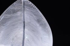 画像5: 北欧ビンテージ/Tapio Wirkkala/タピオ・ヴィルカラ/iittala/イッタラ/Art Object /3337/glass bowl/1958年/Sサイズ (5)