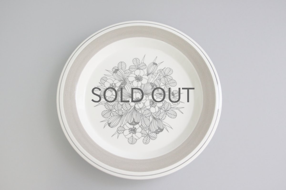 画像2: ARABIA アラビア Krokusクロッカス グレーリム ディナープレート No.2 (2)