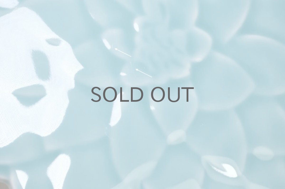 画像4: 北欧ビンテージ/ARABIA/アラビア/石本藤雄/Fujiwo Ishimoto/Kukkia/Kukkia/クッキア/ウォーターリリー/睡蓮/ライトブルー (4)