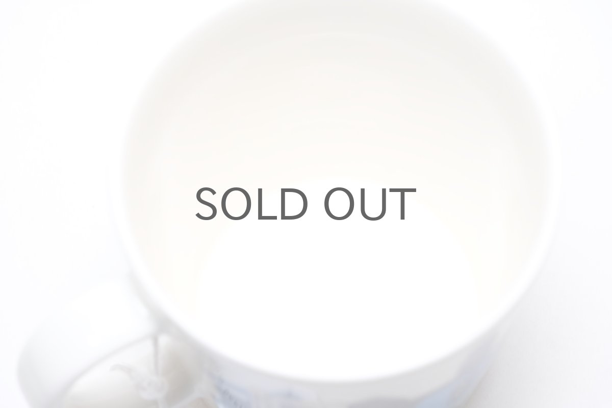 画像7: ARABIA/アラビア/Teema/ティーマ/2012/ワールドデザインヘルシンキキャピタル/Home town/Sea/海/マグ (7)