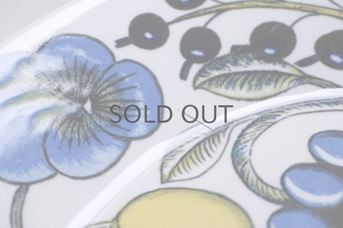 画像6: ARABIA /アラビア/Paratiisi/パラティッシ/オーバルプレート/カラー/初期ビンテージ/23cmH3オーバル (6)