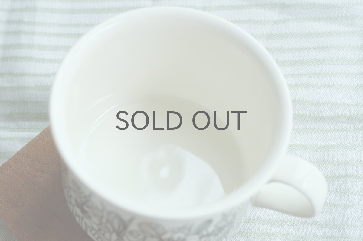 画像6: ARABIA/アラビア/Krokus/クロッカス/ティーカップ＆ソーサー/B&W (6)