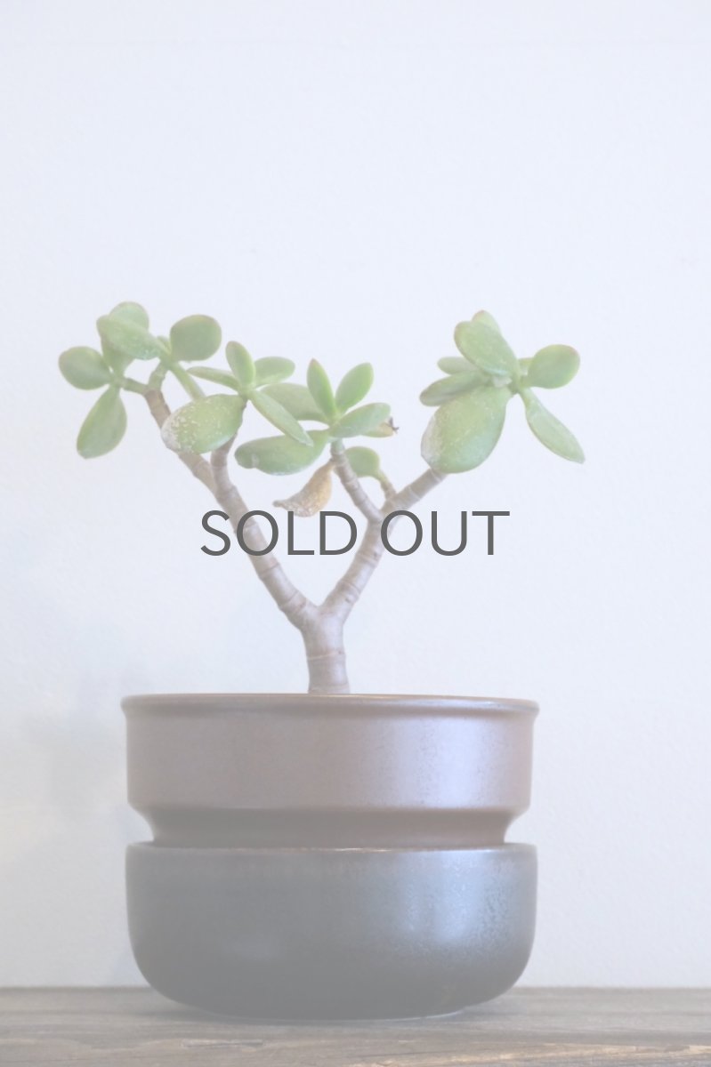 画像9: ビンテージ北欧/ARABIA/アラビア/Ruska/ルスカ/植物ポット/鉢 (9)