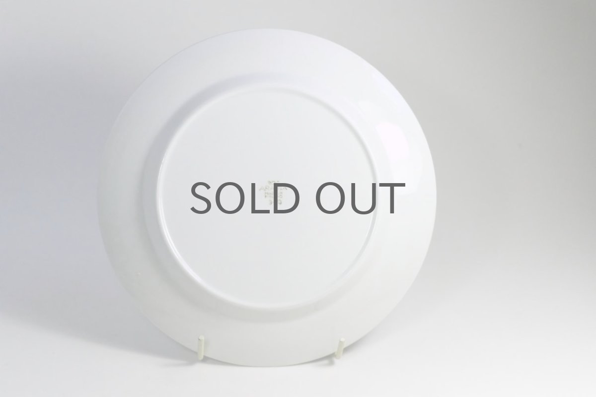 画像4: 個別ご注文/ARABIA/アラビア/Veera/ベーラ/20cmプレート/美品 (4)