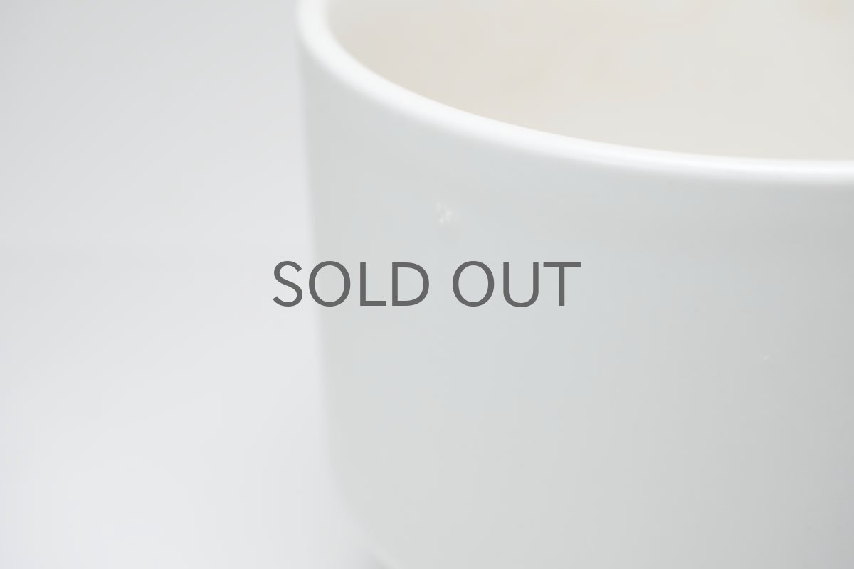 画像9: ビンテージ北欧/ARABIA/アラビア/Richard Lindh/ホワイト/Mサイズ (9)