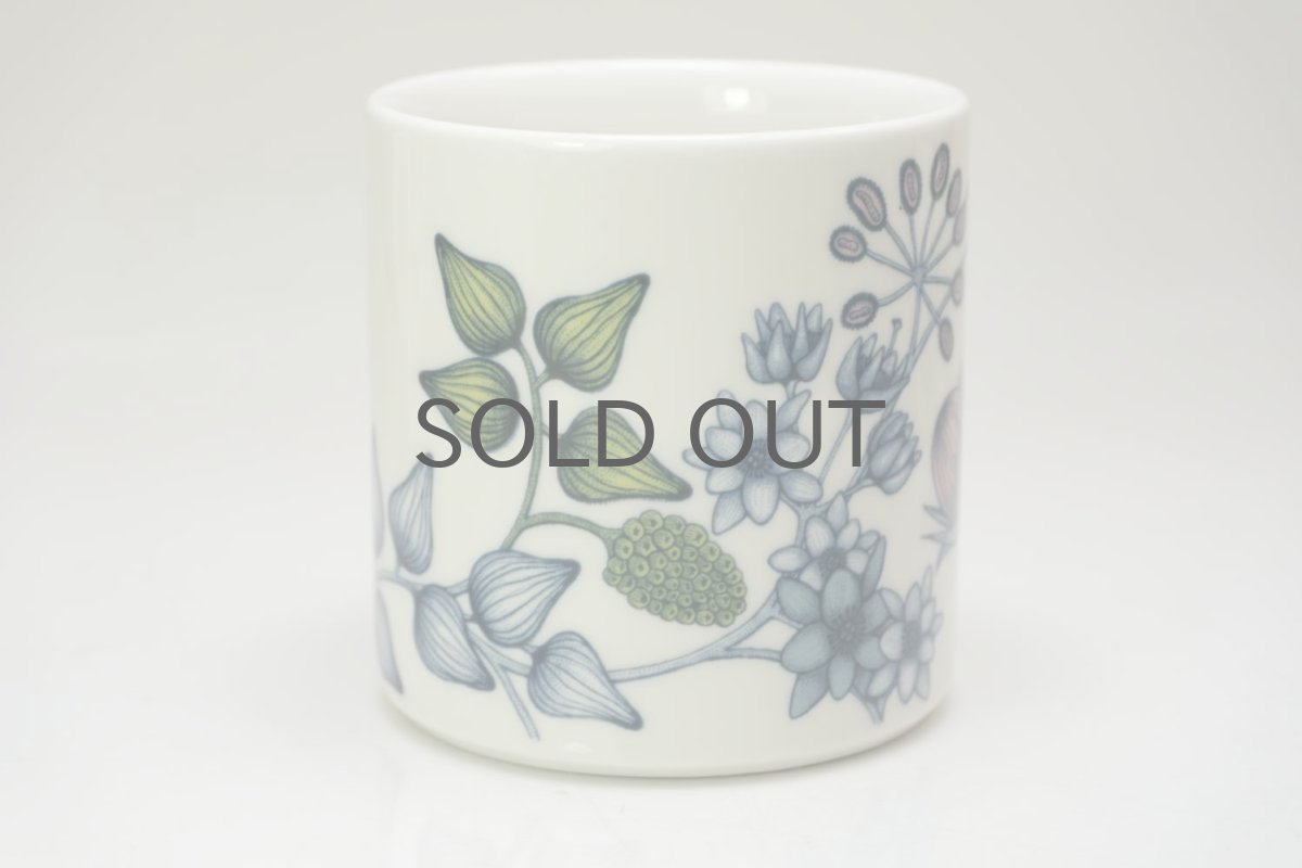 画像2: ARABIA/アラビア/Runo/ルノ/SPRING DROP/スプリングドロップ/マグ/美品 (2)