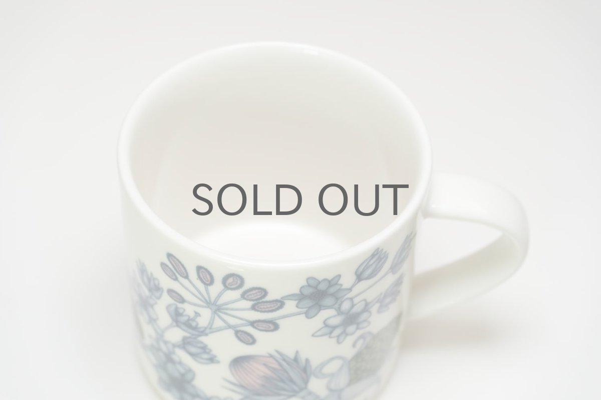 画像6: ARABIA/アラビア/Runo/ルノ/SPRING DROP/スプリングドロップ/マグ/美品 (6)