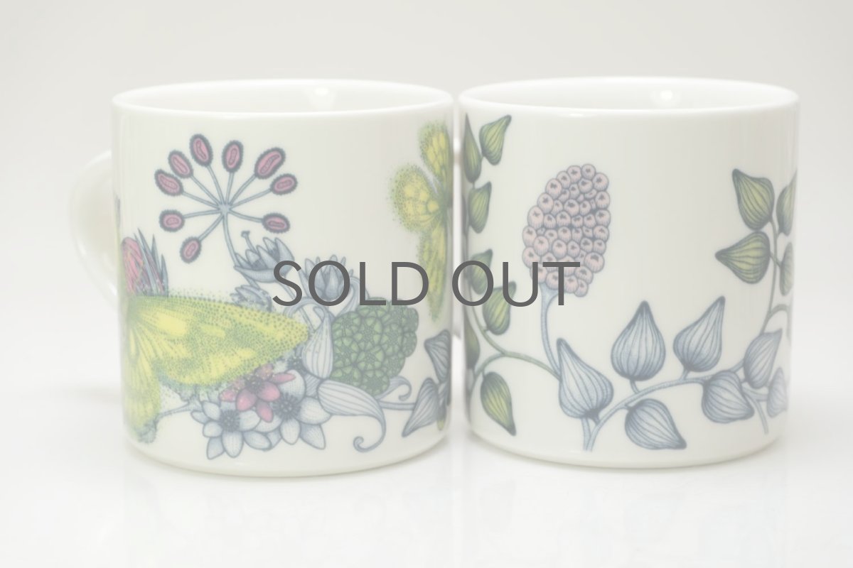 右がスプリングドロップ