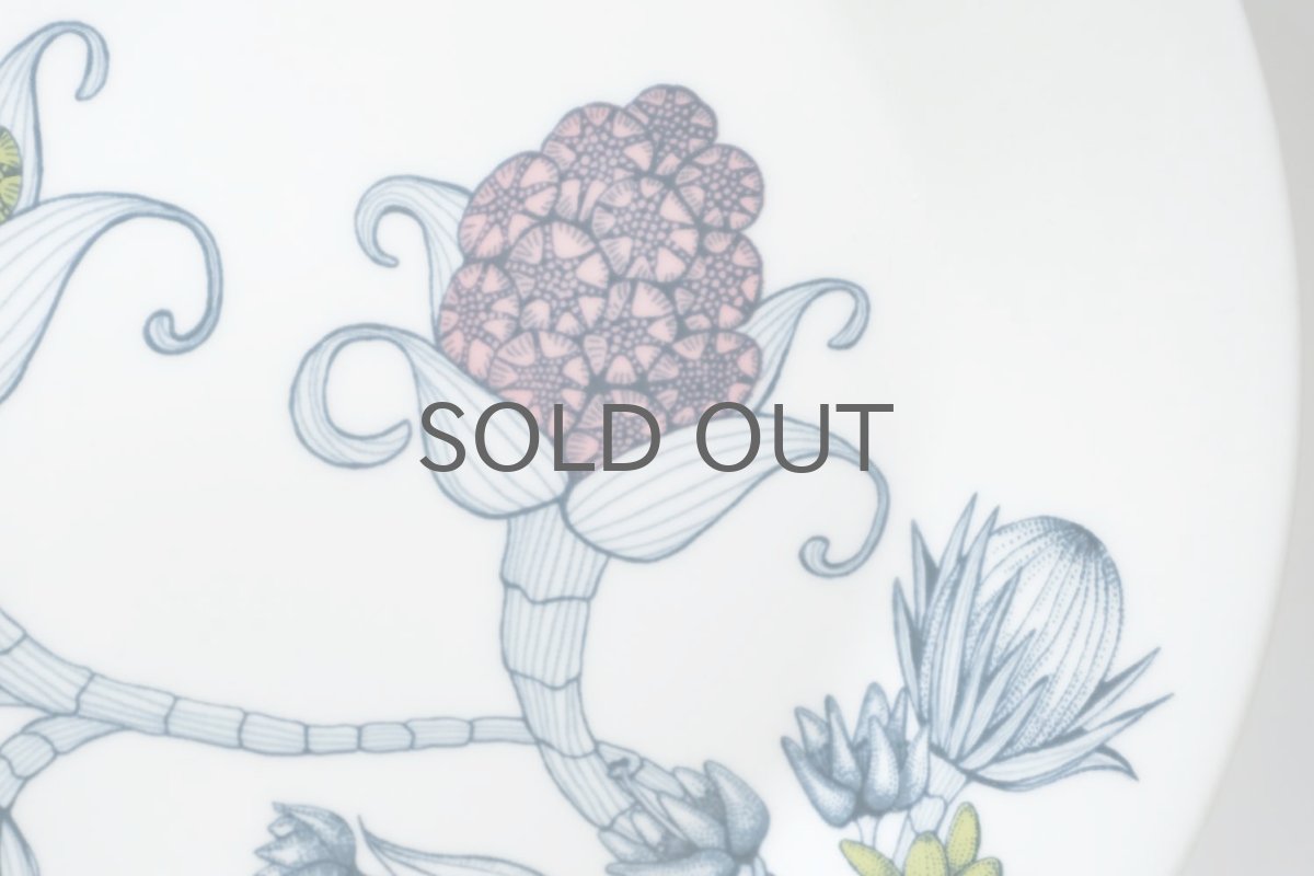 画像3: ARABIA/アラビア/Runo/ルノ/SPRING DROP/スプリングドロップ/プレート/美品 (3)