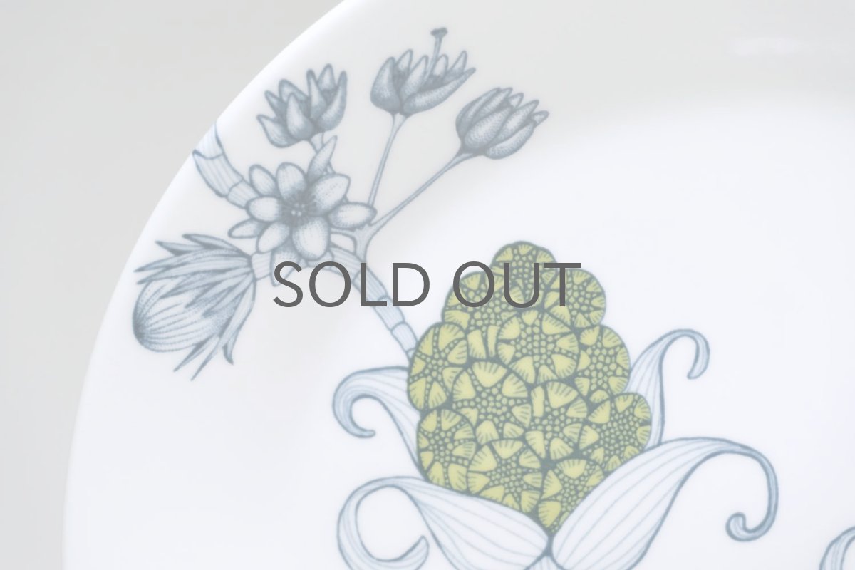 画像2: ARABIA/アラビア/Runo/ルノ/SPRING DROP/スプリングドロップ/プレート/美品 (2)