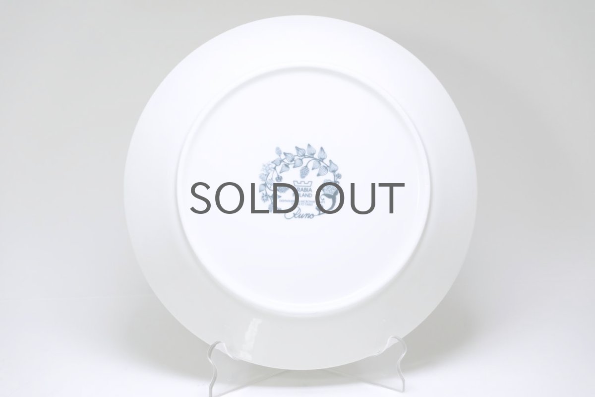 画像4: ARABIA/アラビア/Runo/ルノ/SPRING DROP/スプリングドロップ/プレート/美品 (4)