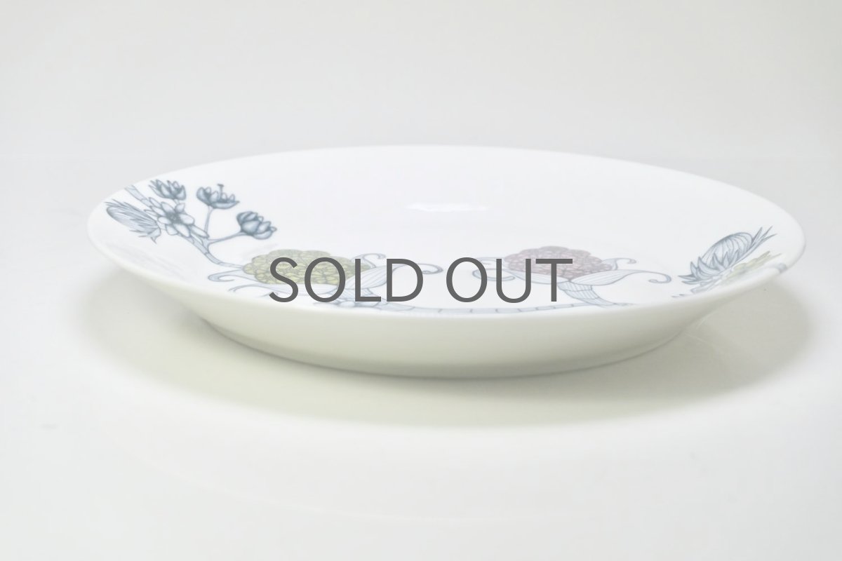 画像6: ARABIA/アラビア/Runo/ルノ/SPRING DROP/スプリングドロップ/プレート/美品 (6)