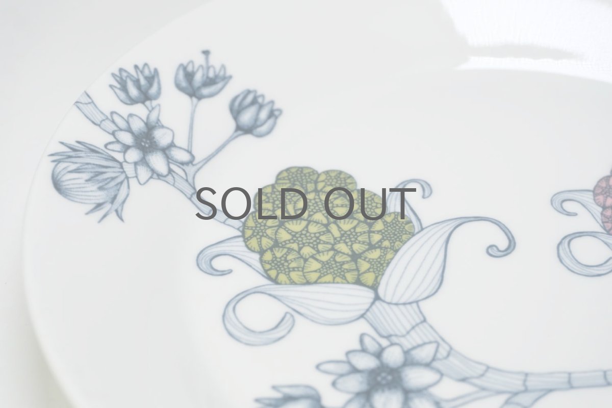 画像7: ARABIA/アラビア/Runo/ルノ/SPRING DROP/スプリングドロップ/プレート/美品 (7)