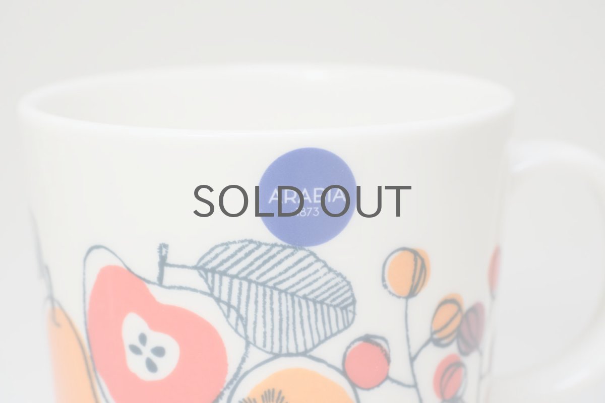 画像2: ARABIA/アラビア/Teema/ティーマ/2014/Kimaraキマラ/マグ (2)