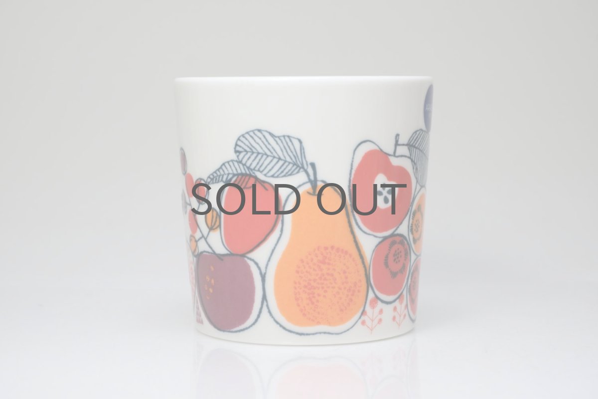 画像4: ARABIA/アラビア/Teema/ティーマ/2014/Kimaraキマラ/マグ (4)