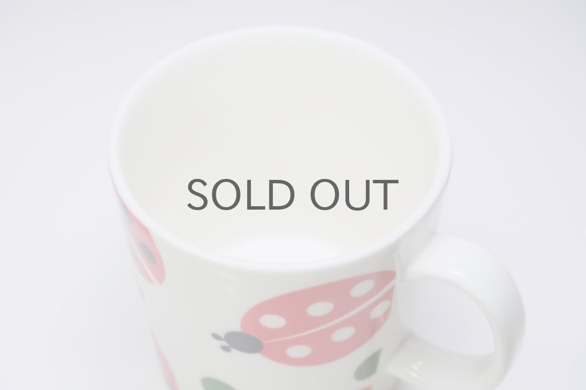 画像3: ARABIA/アラビア/ティーマ/季節限定マグ/赤いてんとう虫/マグ (3)