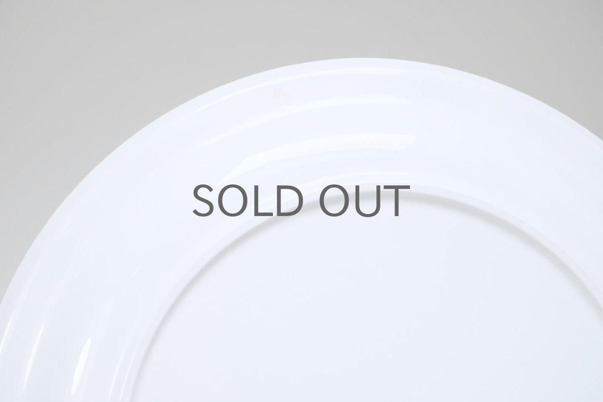 画像4: 北欧ビンテージ食器/ARABIA/アラビア/Primavera/プリマベーラ/20cm /プレート/No.1 (4)