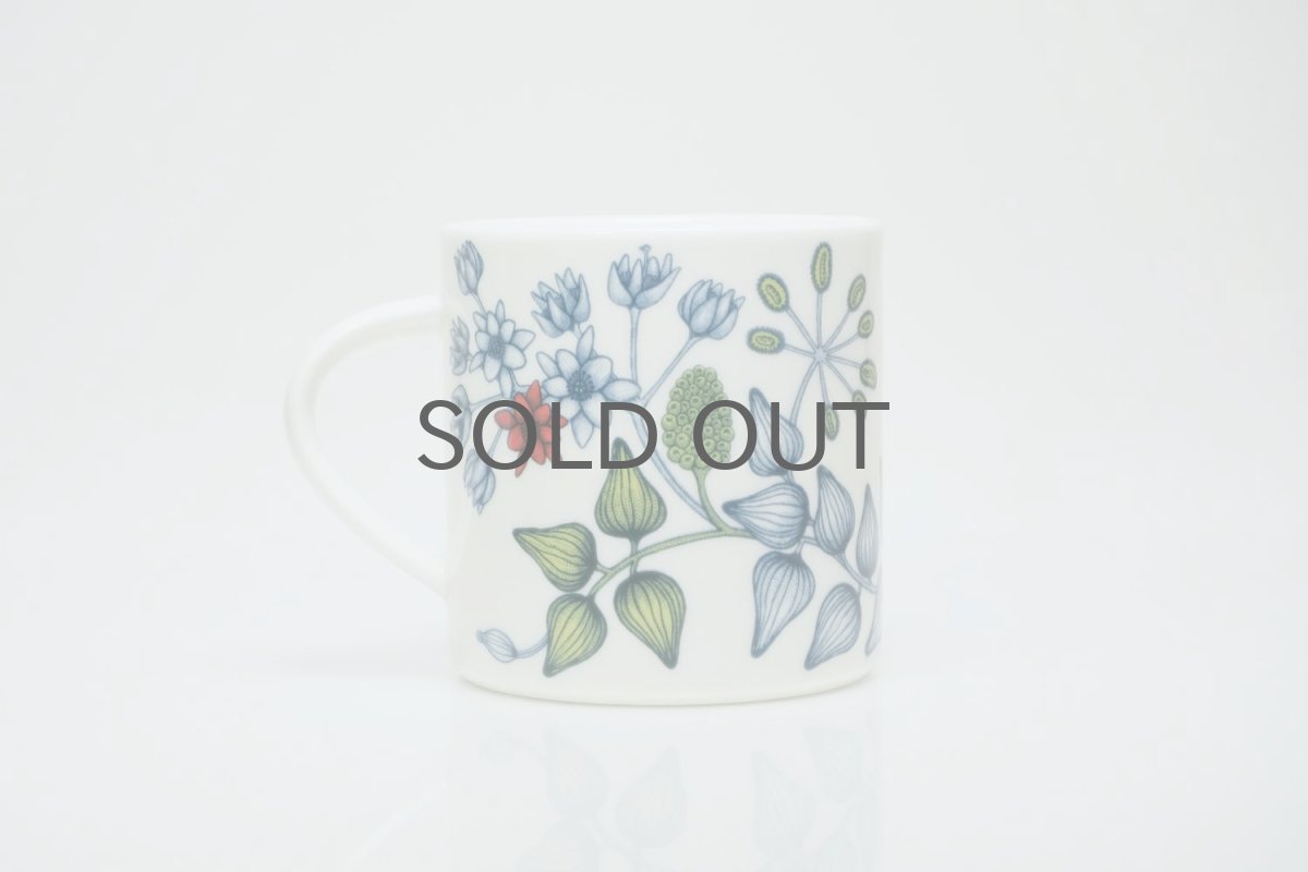 画像2: ARABIA/アラビア/Runo/ルノ/Autumn Glow/オータムグロー/マグ (2)