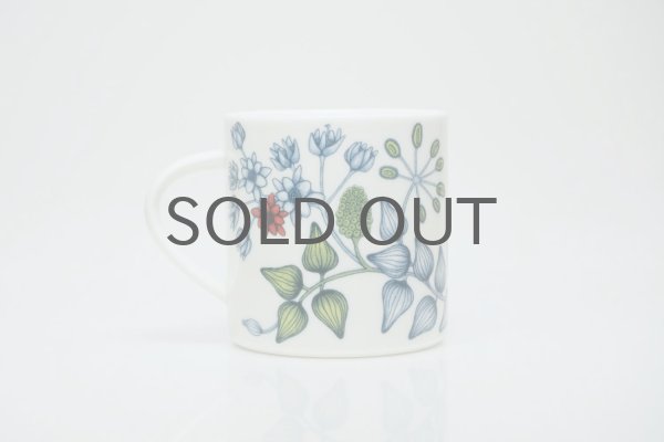 ARABIA/アラビア/Runo/ルノ/Autumn Glow/オータムグロー/マグ