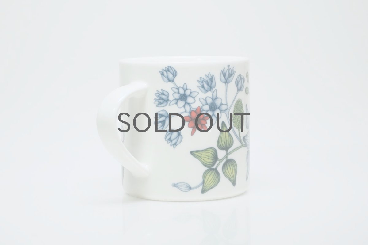 画像4: ARABIA/アラビア/Runo/ルノ/Autumn Glow/オータムグロー/マグ (4)