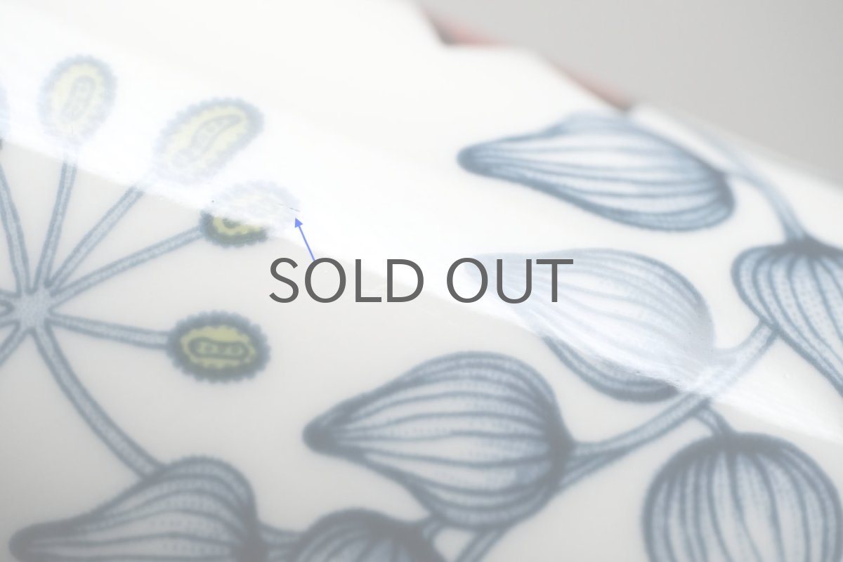 画像6: ARABIA/アラビア/Runo/ルノ/Autumn Glow/オータムグロー/マグ (6)