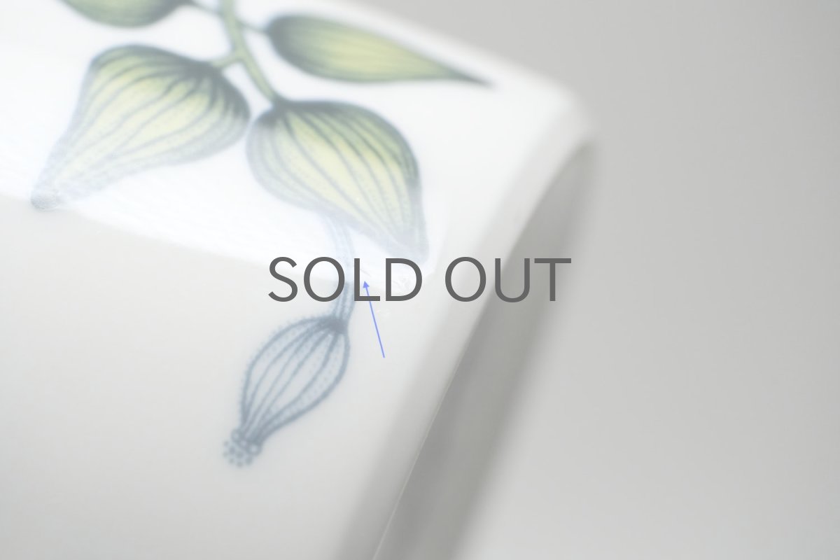 画像7: ARABIA/アラビア/Runo/ルノ/Autumn Glow/オータムグロー/マグ (7)