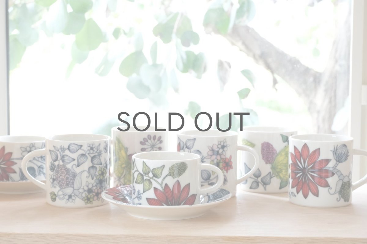 画像6: ARABIA/アラビア/Runo/ルノ/Autumn Glow/オータムグロー/マグ (6)