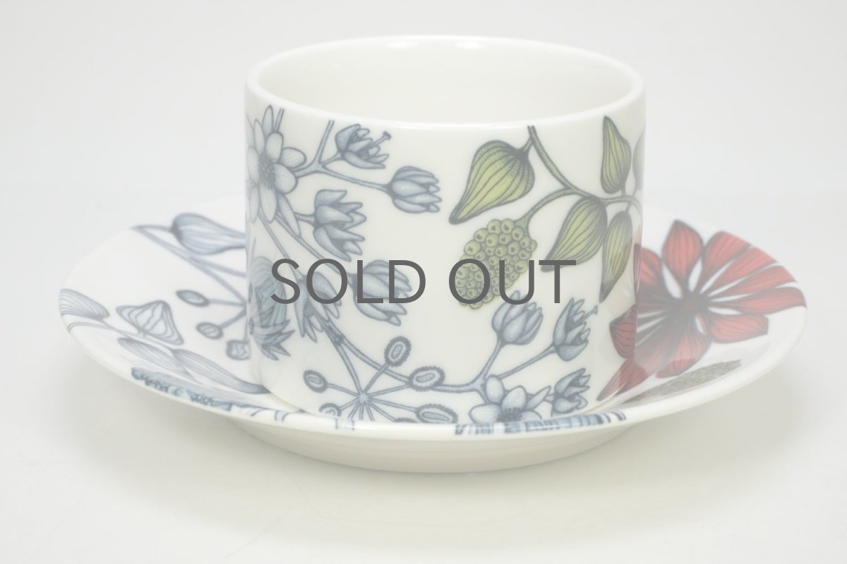画像2: ARABIA/アラビア/Runo/ルノ/Summer Rain/サマーレイン/ティーカップ&ソーサー/No.2 (2)