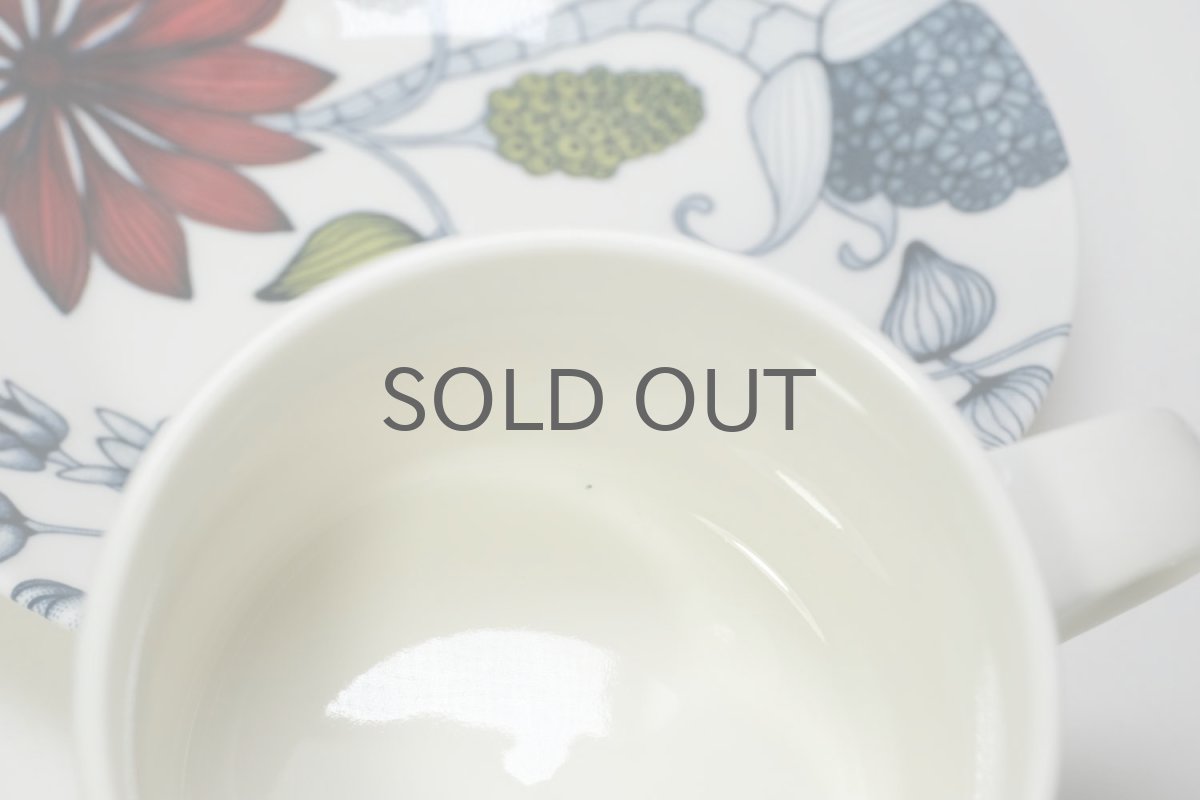 画像5: ARABIA/アラビア/Runo/ルノ/Summer Rain/サマーレイン/ティーカップ&ソーサー/No.2 (5)