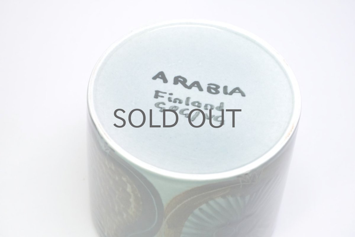 画像6: ビンテージ北欧/ARABIA/アラビア/ Fructus /フラクタス/Gunvor Olin-Gronqvist/グンヴァル・オリン・グラングヴィスト/植物ポットカバー (6)