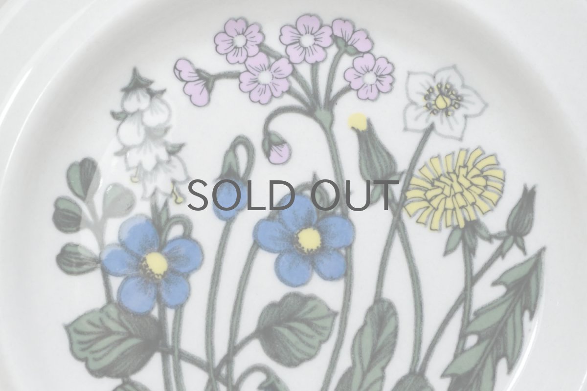 画像2: ARABIA/アラビア /Flora/フローラ/プレート/17.5cm (2)