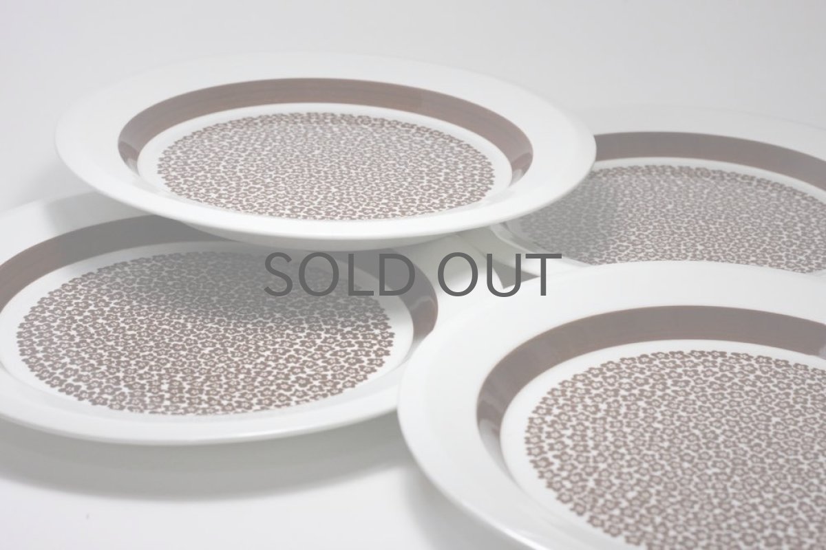 画像6: ARABIA/アラビア/ Faenza/ファエンツァ/ディナープレート (6)