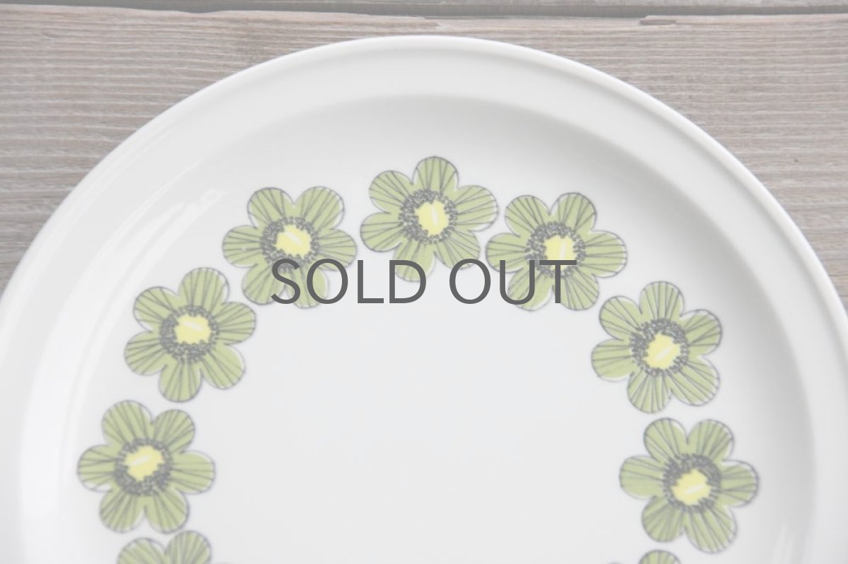 画像3: ARABIA　アラビア　Primaveraプリマベーラ　ディナープレート (3)