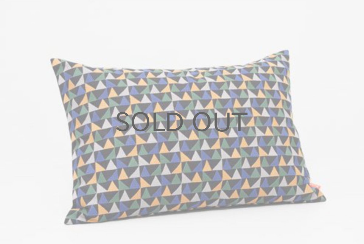 画像1: Akira Minagawa ✕ Kvadrat 2018限定クッション/Botany cushion, 50×70cm (1)