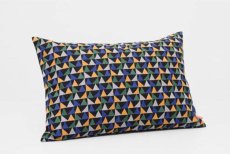 画像1: Akira Minagawa ✕ Kvadrat 2018限定クッション/Botany cushion, 50×70cm (1)