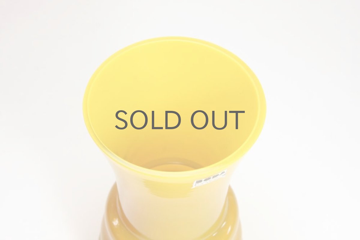 画像3: Erik Hoglund/エリックホグラン/ベース/イエロー (3)