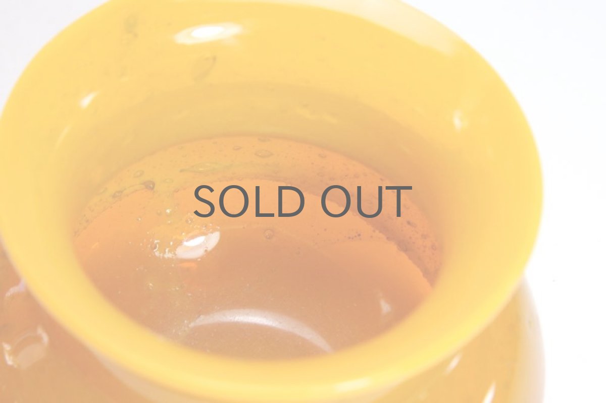 画像3: Erik Hoglund/エリックホグラン/ポット/オレンジ (3)