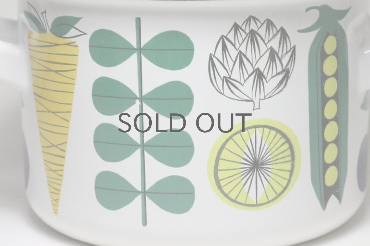 画像3: Finel /フィネル/エナメル/Vegeta/Sサイズ/美品 (3)