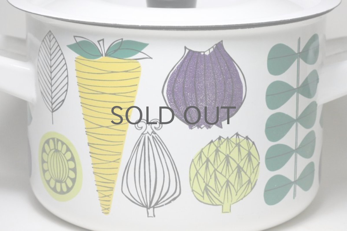 画像2: Finel /フィネル/エナメル/Vegeta/Mサイズ/美品 (2)