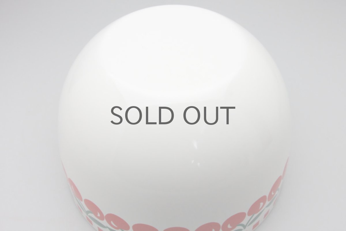 画像5: Finel /フィネル エナメルボウル チェリー  Lサイズ (5)