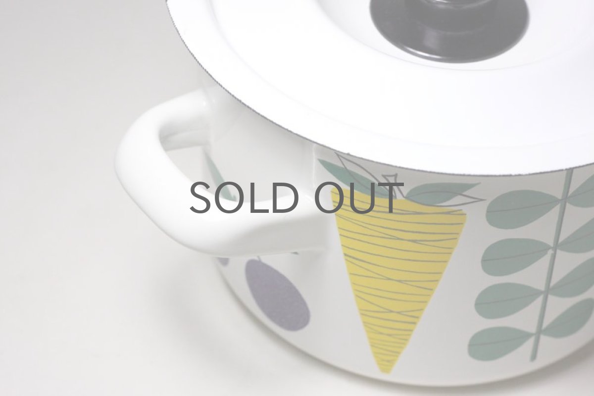 画像5: Finel /フィネル/エナメル/Vegeta/Sサイズ/美品 (5)